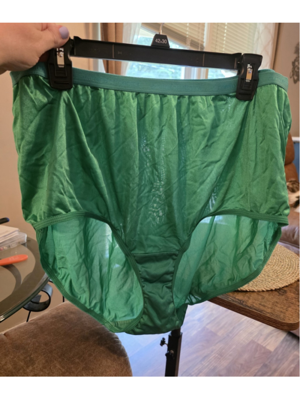 Comfort Choice Nylon Panties Size 11 Shimmery Full Brief Granny Panties Green